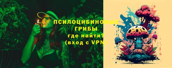 тгк Армянск