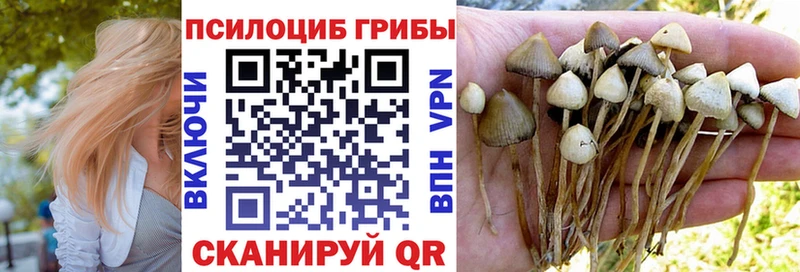 Псилоцибиновые грибы мухоморы  дарнет шоп  Купино 